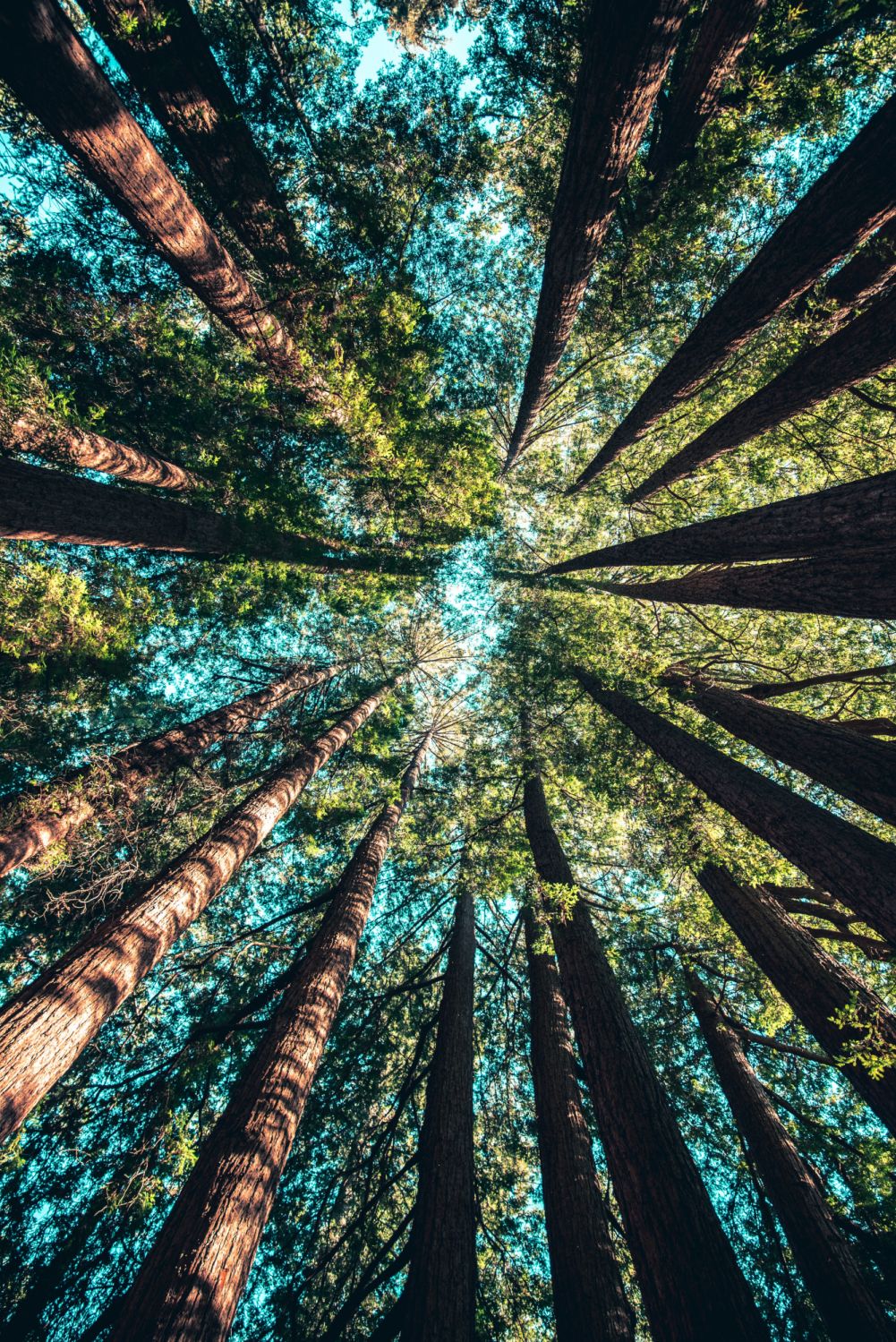 Photo via Unsplash