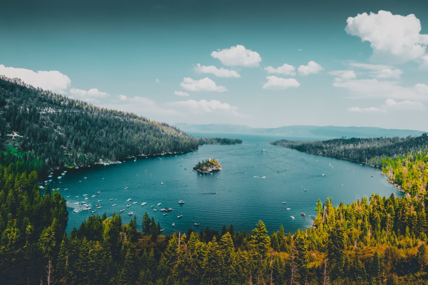 Photo via Unsplash