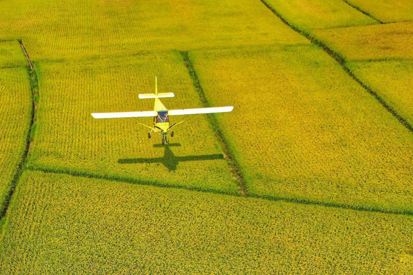 台中輕航機飛行Photo via OwlTing Experiences