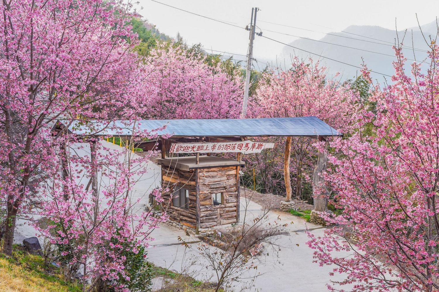 上帝部落新竹司馬庫斯（兩日）Photo via OwlTing Experiences