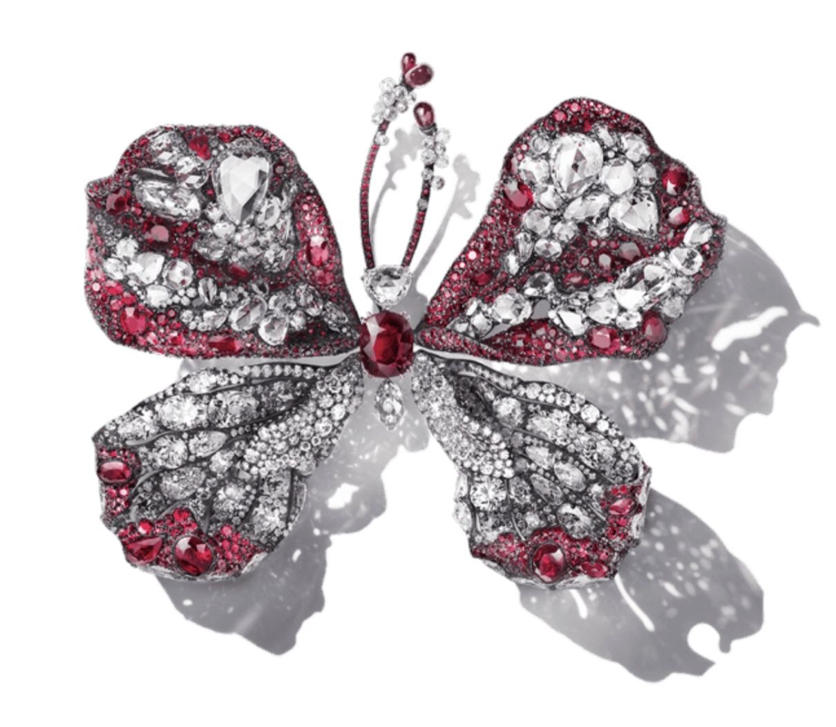 CINDY CHAO The Art Jewel紅寶蝴蝶