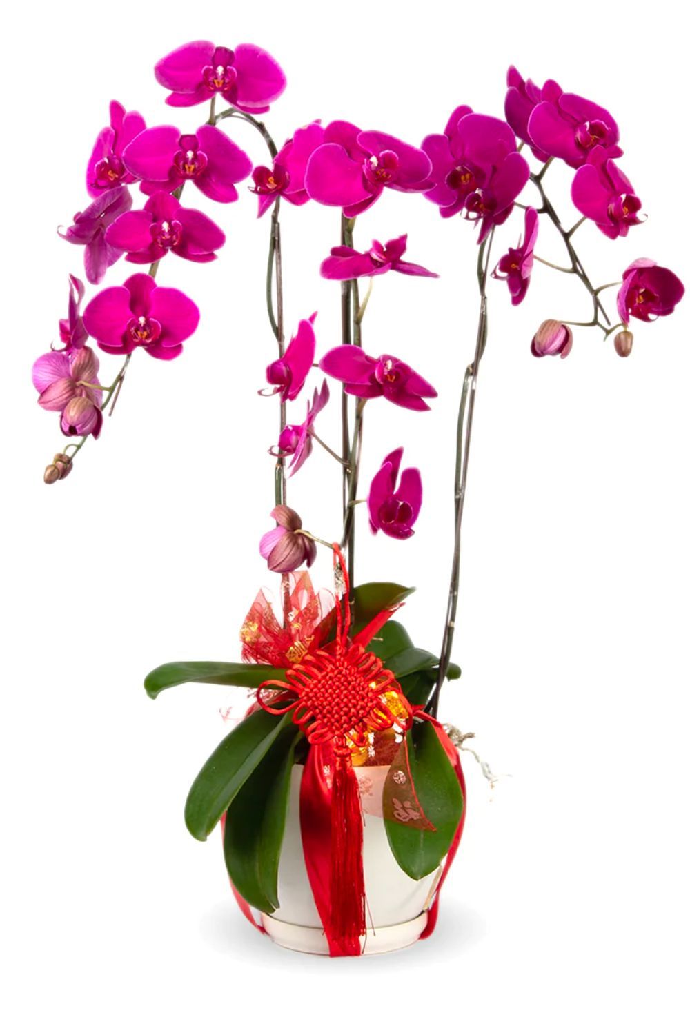 Photo: BloomThis