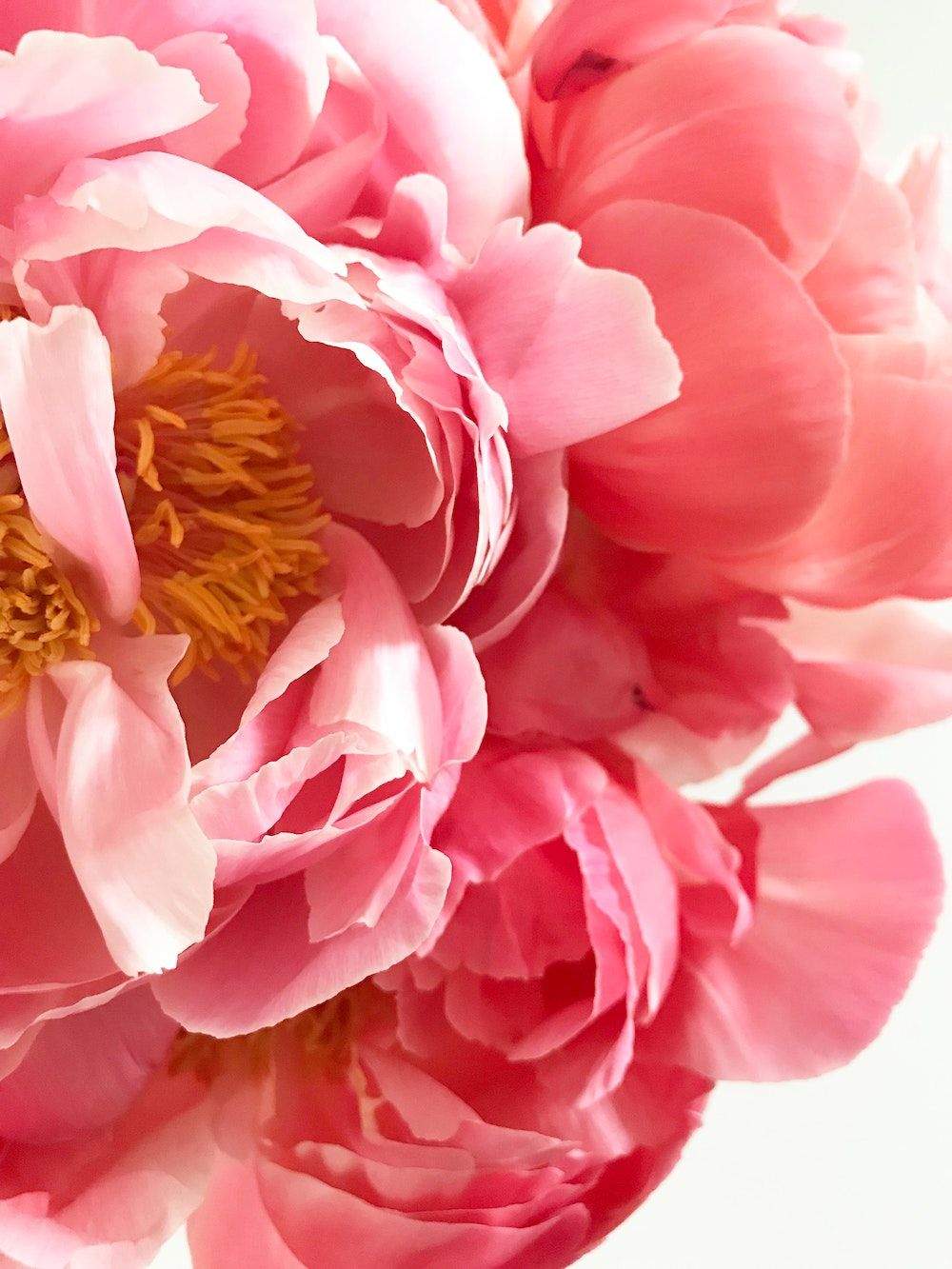 Photo:  Rebecca Orlov/Unsplash