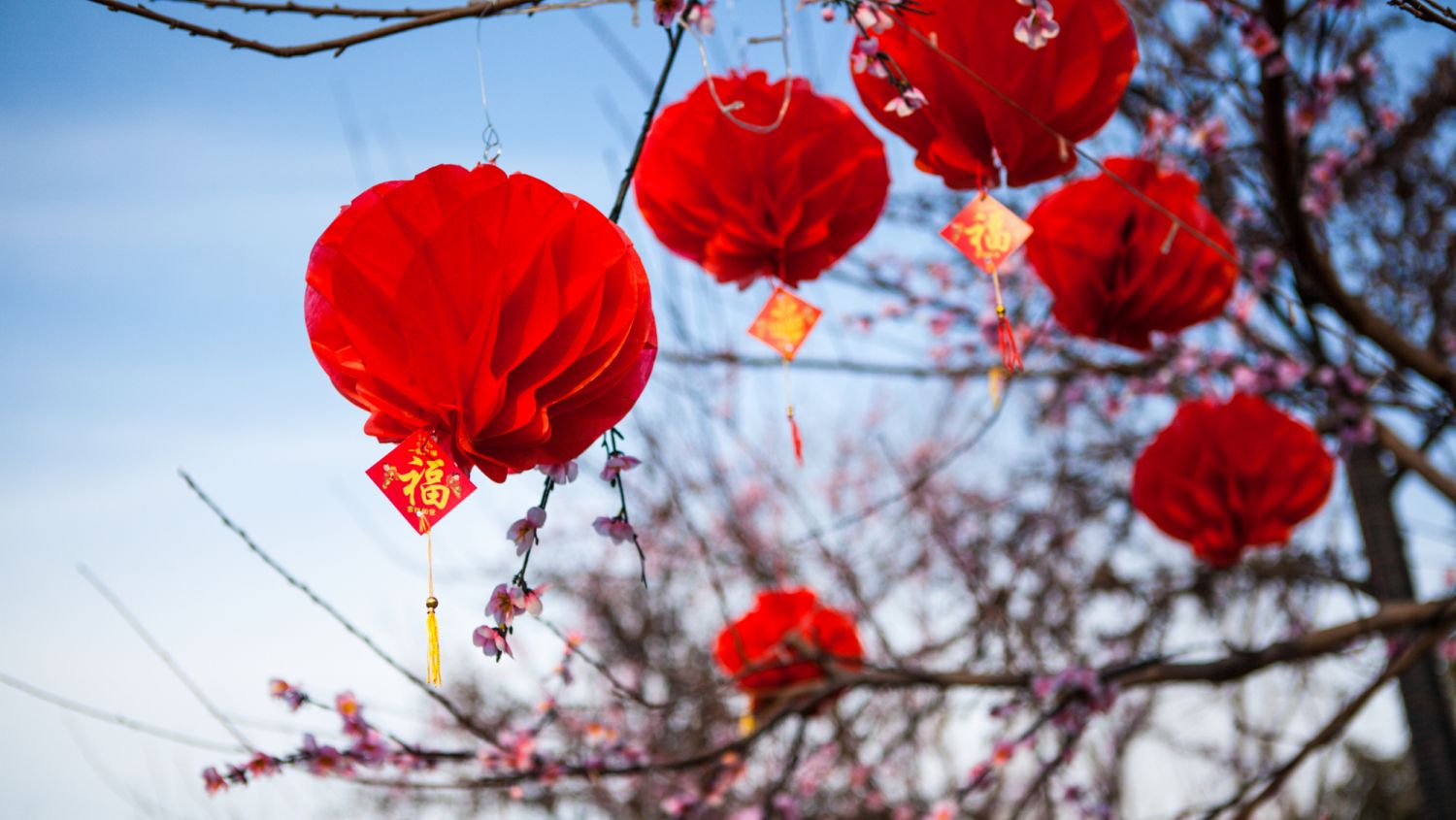 RED LANTERN