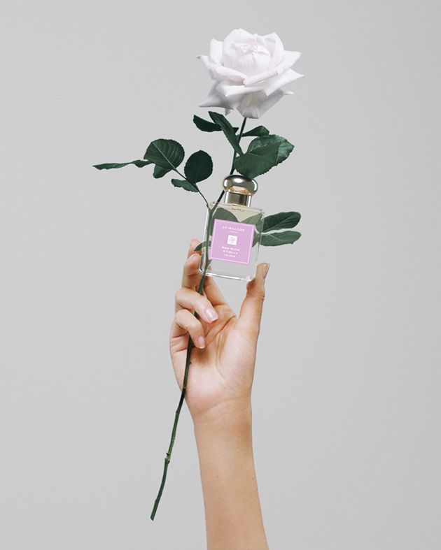 Jo Malone 2023 玫瑰水與香草限定版香水,50ml/NT$4,050