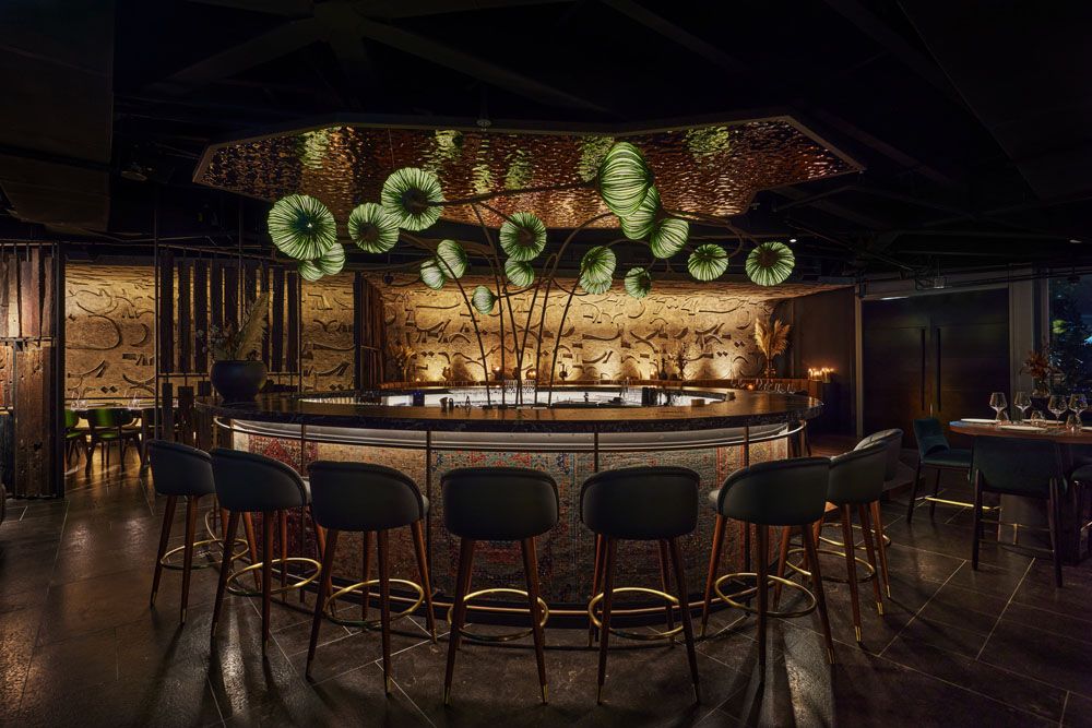 Aniba bar