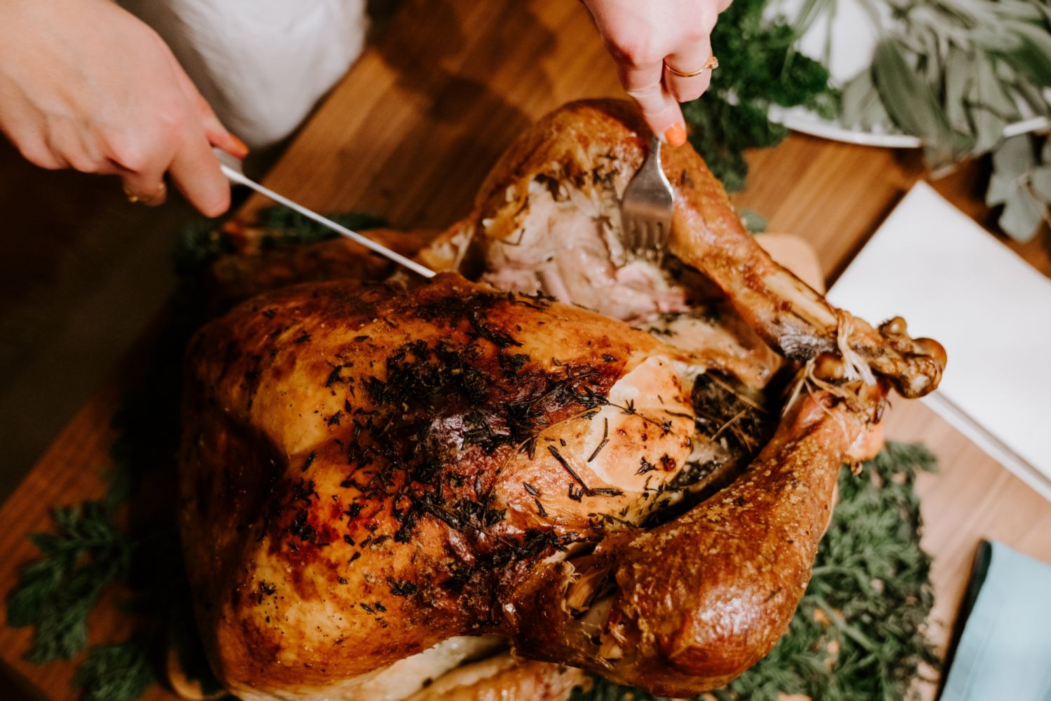 Social Omnivore Photo Claudio Schwarz Unsplash