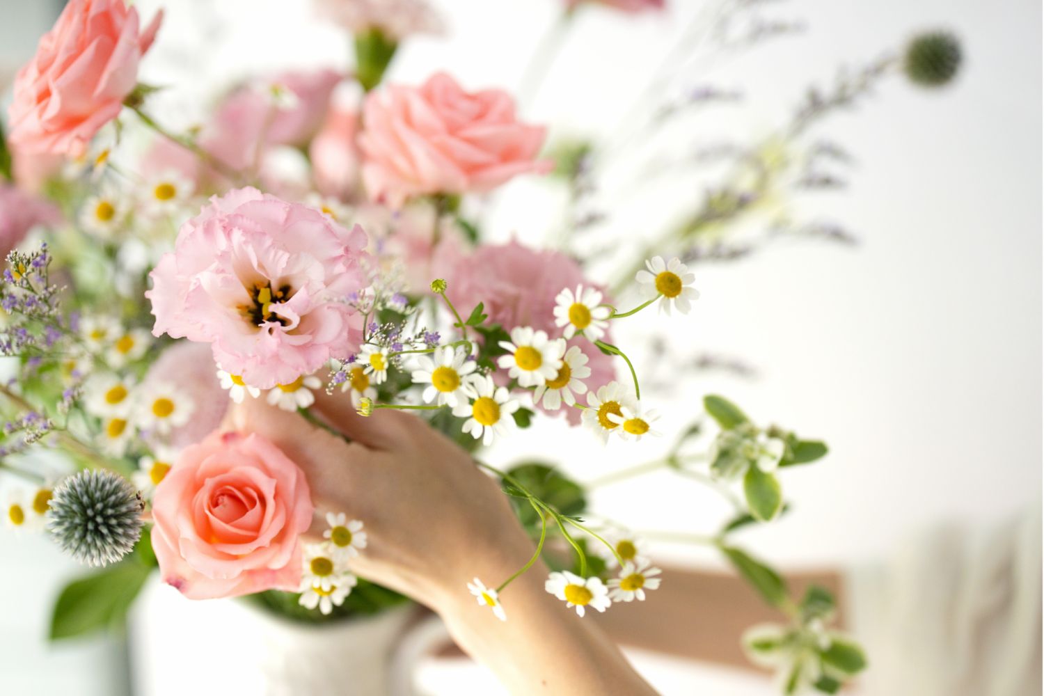 Photo:蒔光盒子