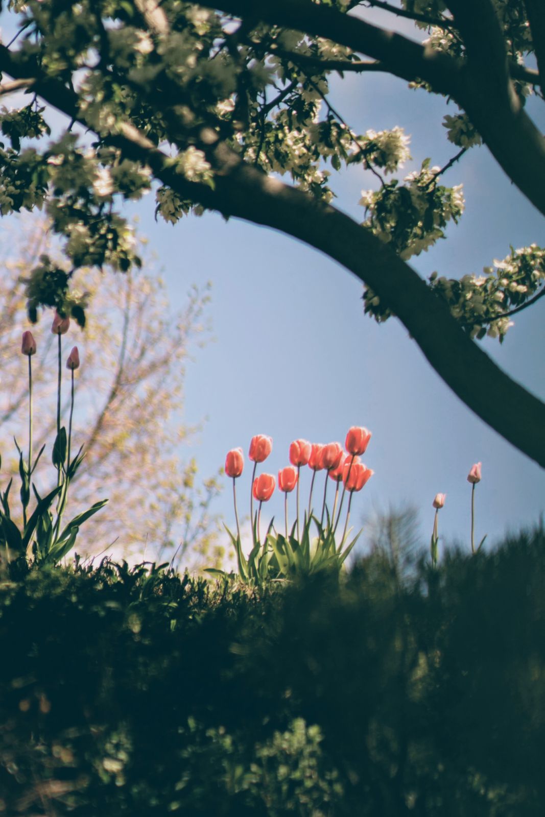 Photo: Unsplash