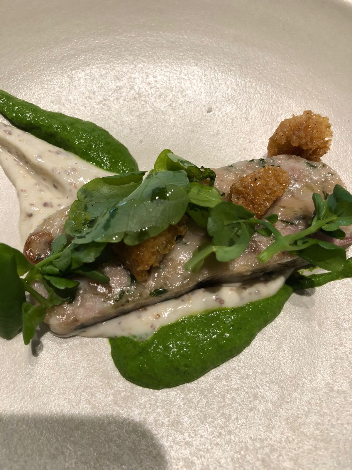 Second Course: Head cheese terrine with mustard dressing and watercress paired with Altisso