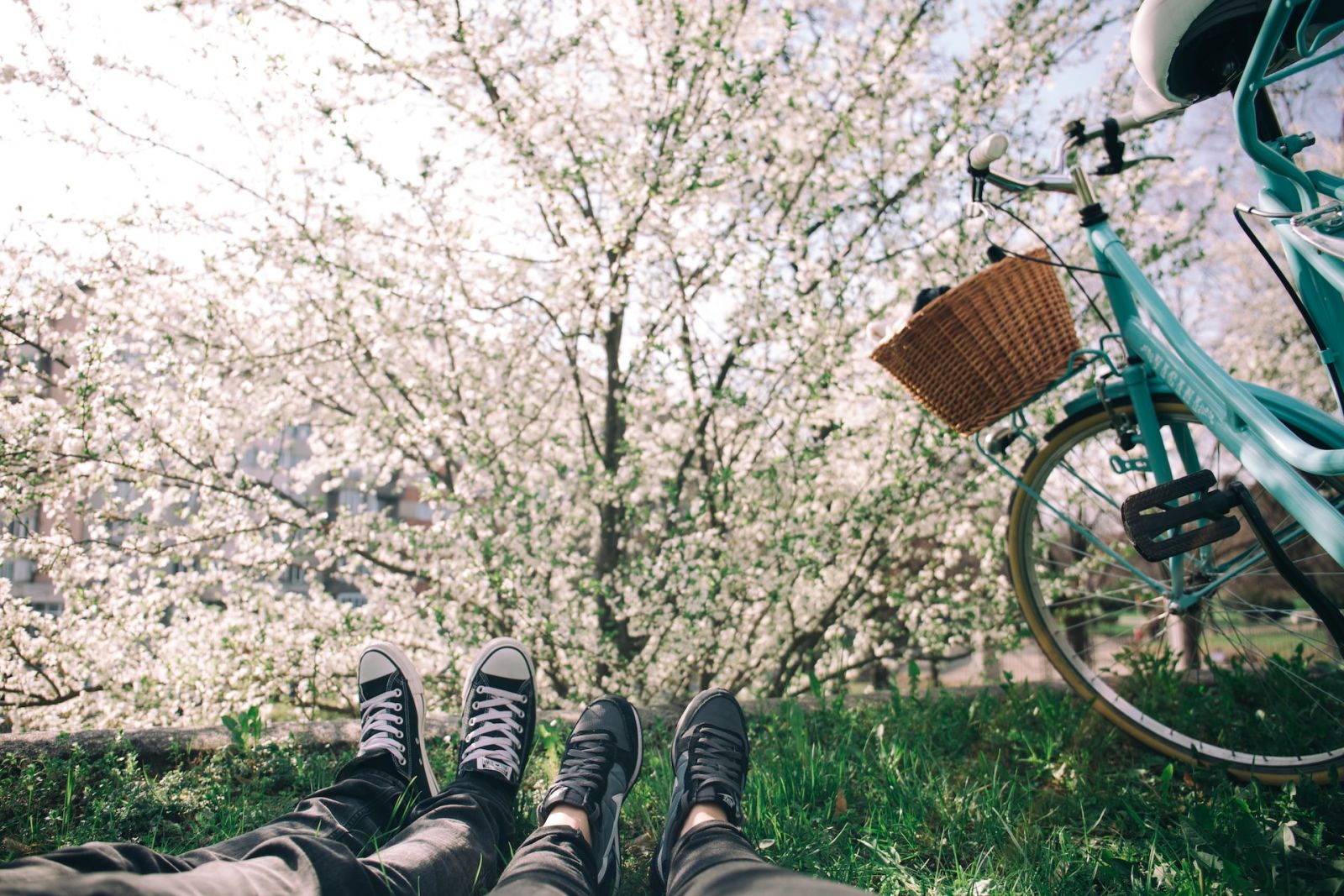 Photo by Alisa Anton (Unsplash)