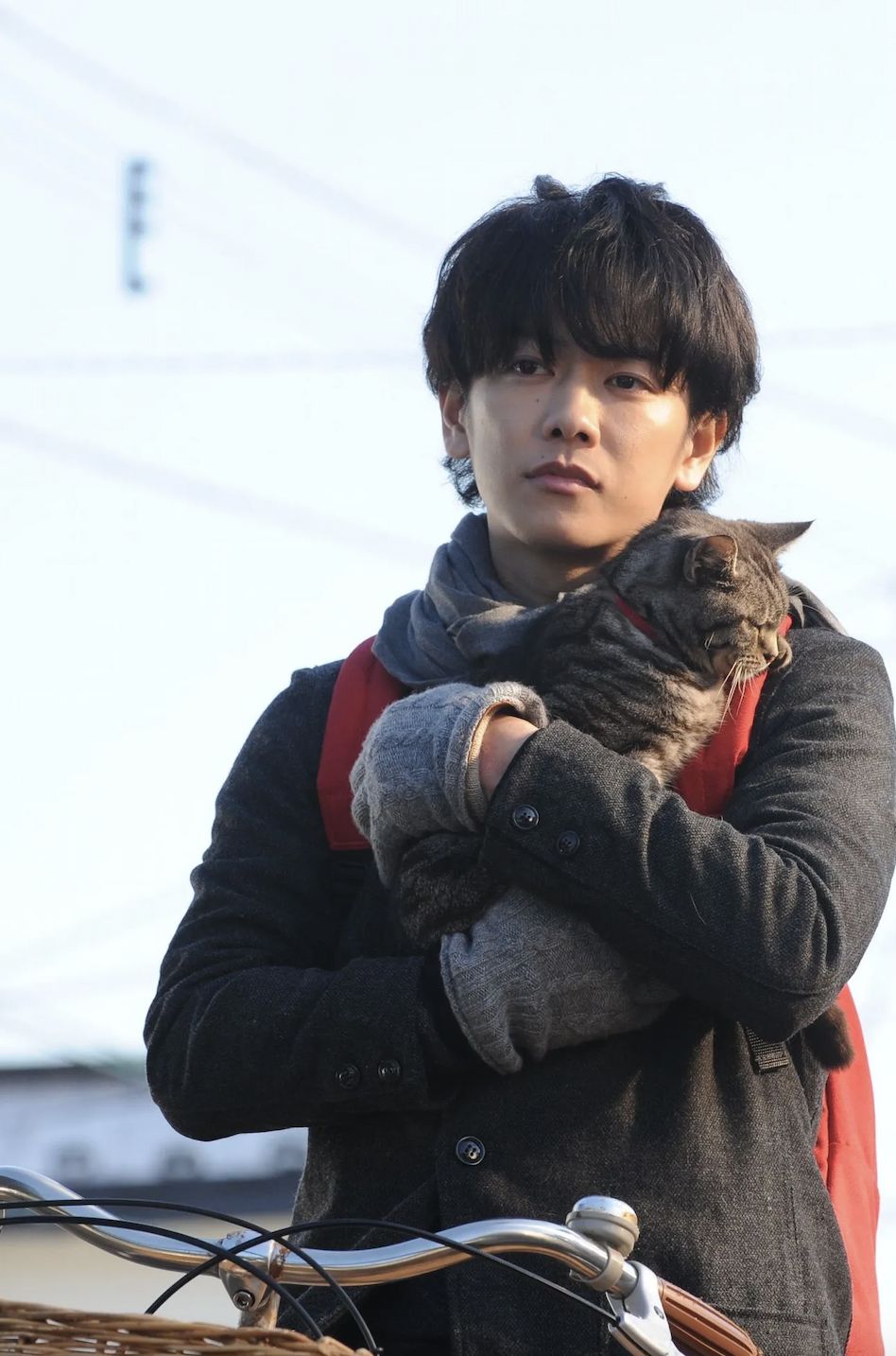 2月22是貓之日!起源日本,訂2/22原因太可愛一次看!國際11大「貓咪節日」統整