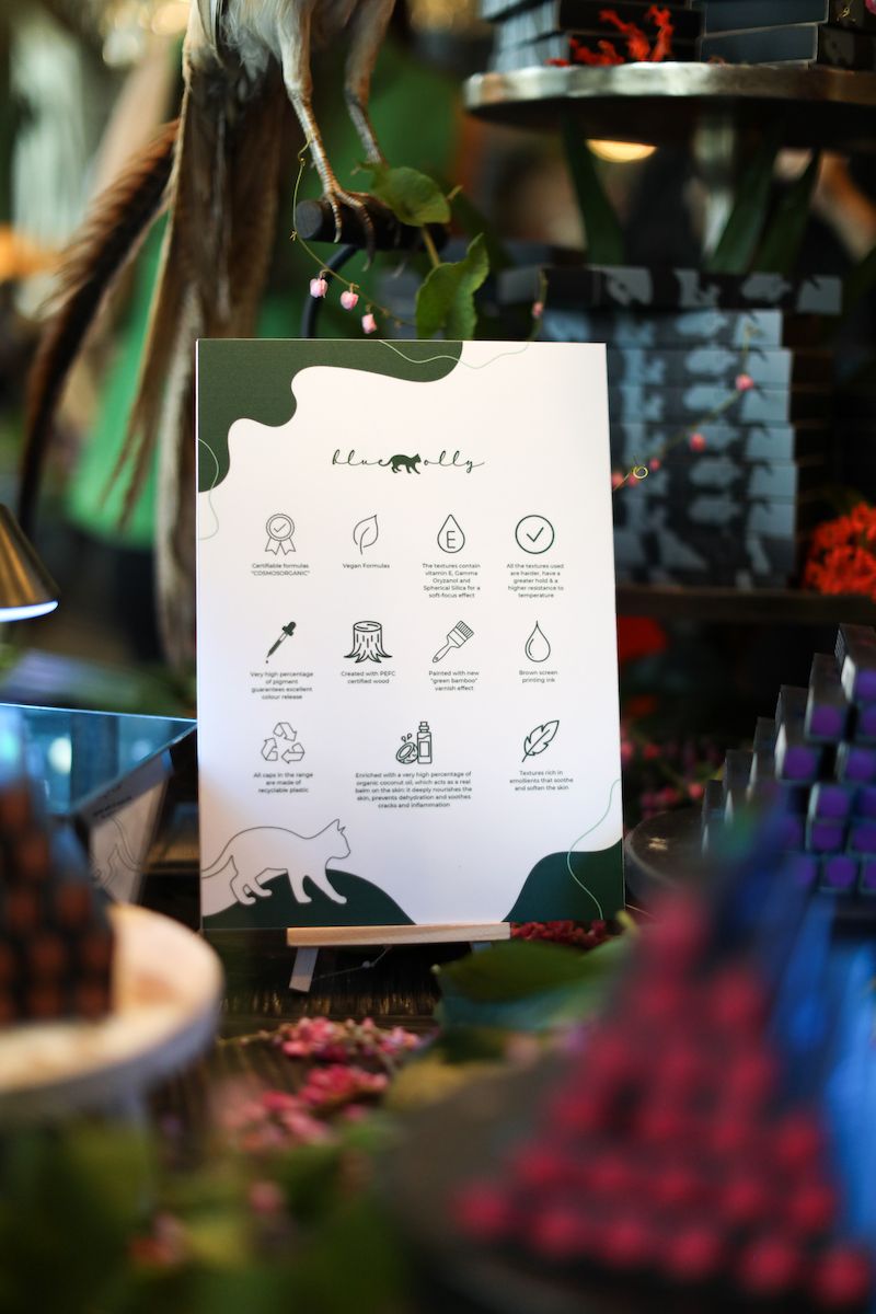 Bluemolly beauty brand launch