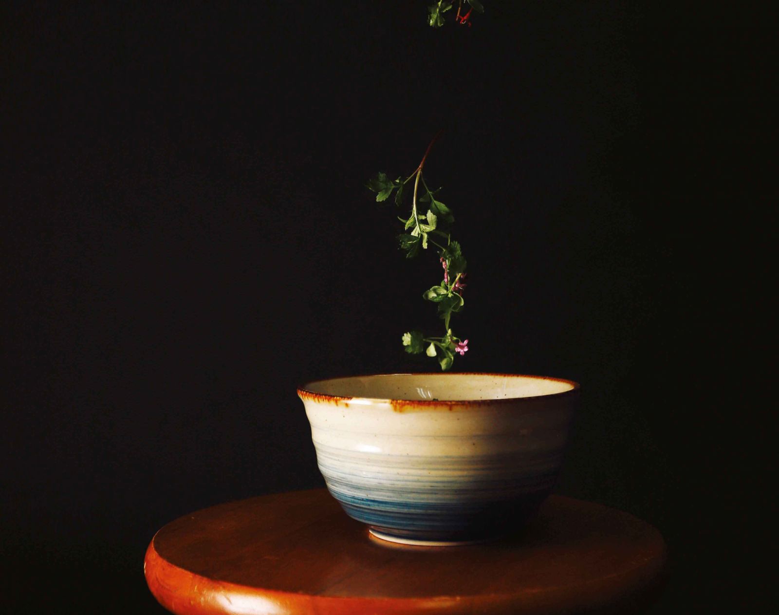 Photo: Daniel Adams
