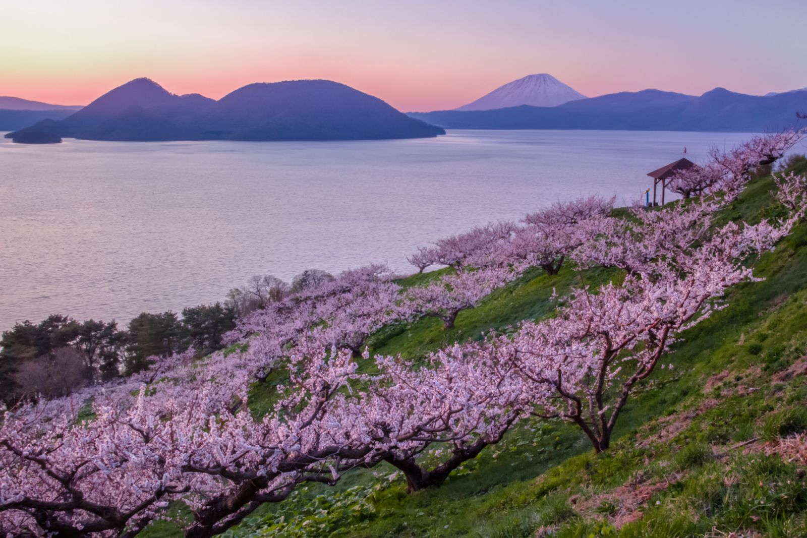 Sobestu Park is well known for the observatory deck with a wonderful view of Mount Youtei and the grove of plum trees.