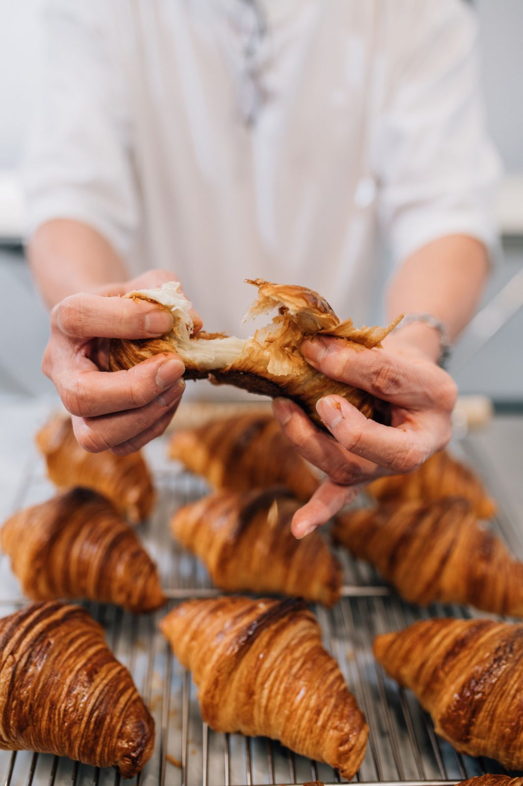 Croissants by Old Man Teh at The Baker's Workshop