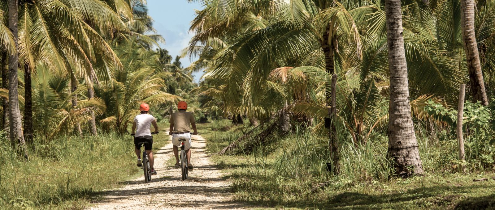 Biking on the Island