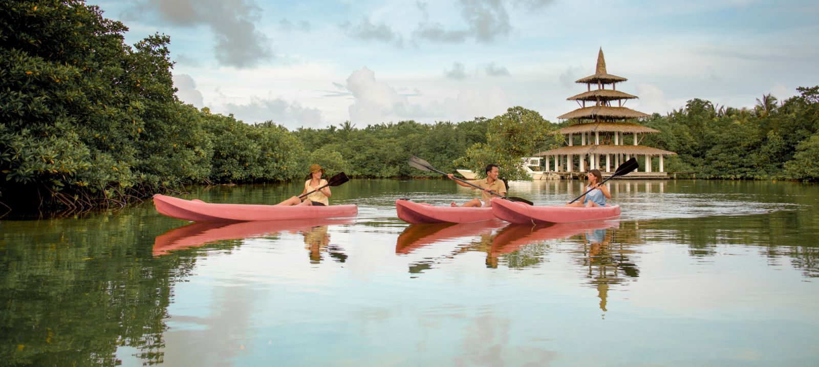 Kayaking in the mangroves