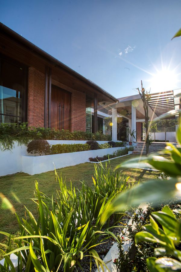 Lush greenery in the garden