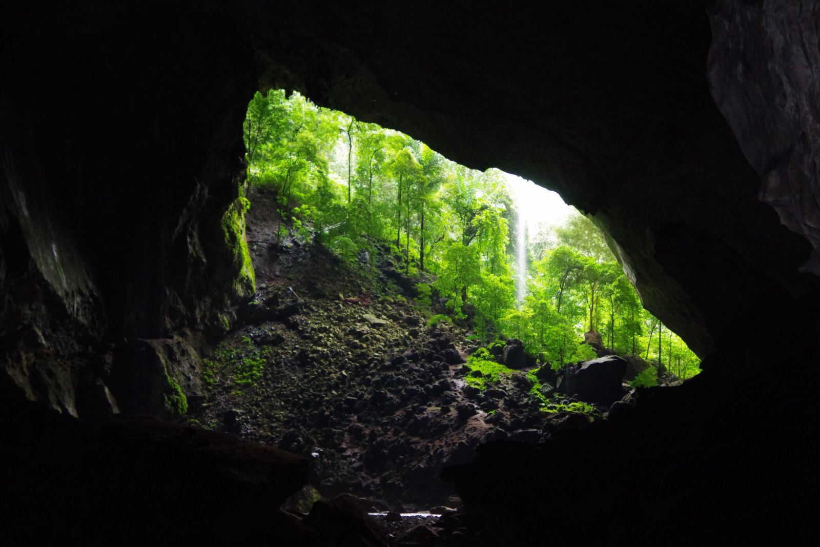 Deer cave in Gunung Mulu National Park