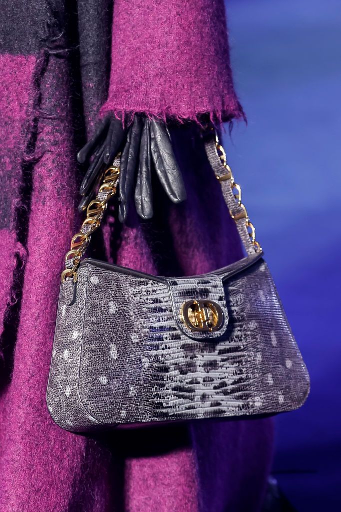 (EDITORIAL USE ONLY - For Non-Editorial use please seek approval from Fashion House) Bag detail during the Christian Dior Womenswear Fall Winter 2023-2024 show as part of Paris Fashion Week on February 28, 2023 in Paris, France. (Photo by Estrop/Getty Images)