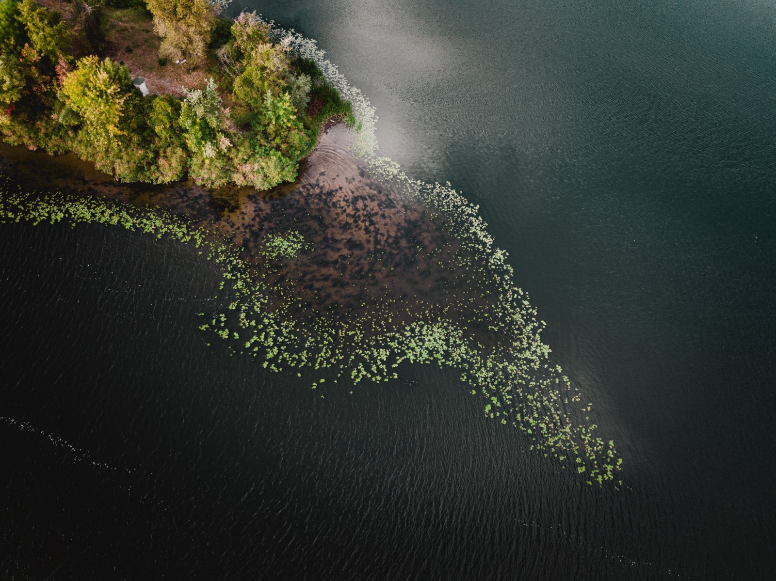 Photo: Unsplash / Ivan Bandura
