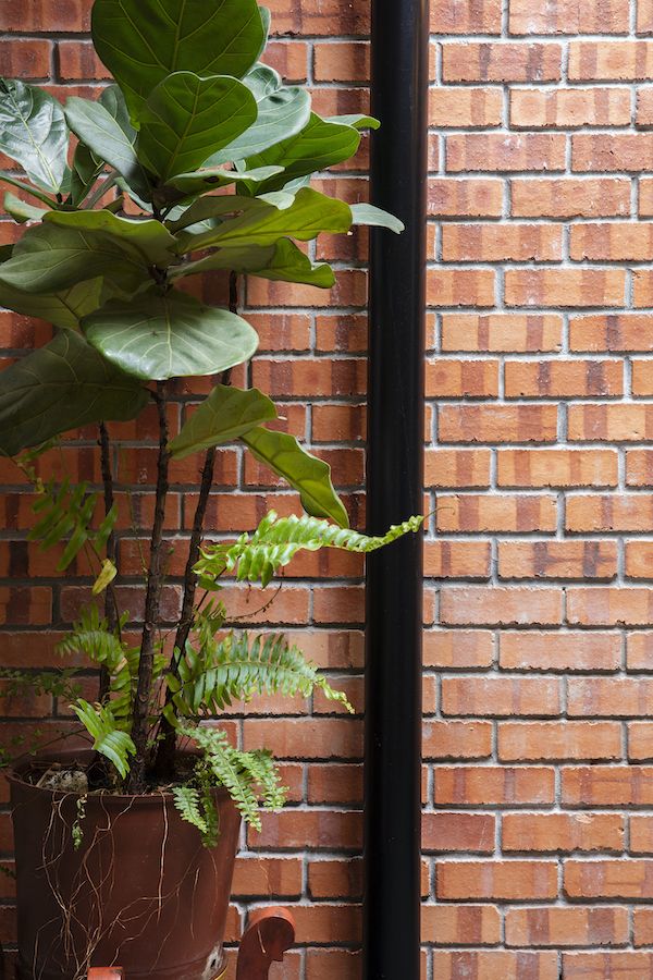 Exposed brickwork
