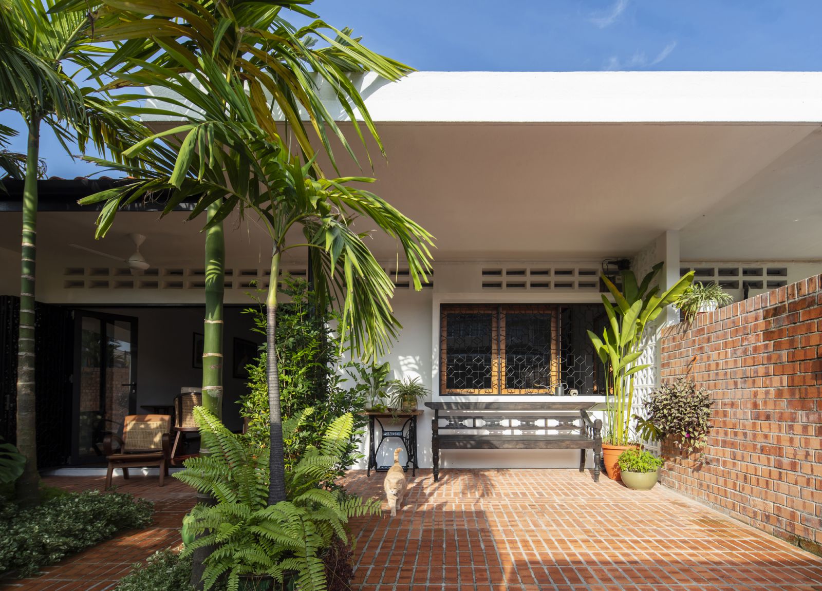 The transformed terrace