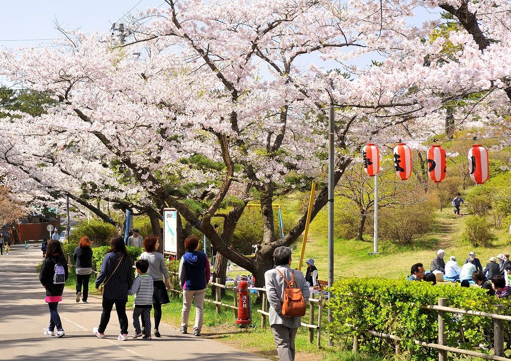 能代公園能看到能代工業校區,這裡也是秋田縣著名的賞櫻勝地。Photo:秋田白神觀光