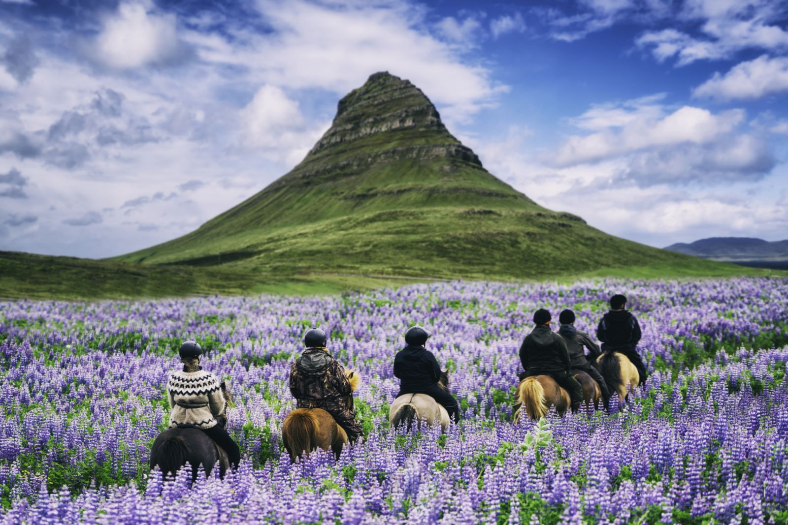 Tourist ride horse at Kirkjufell mountain landscape and waterfall in Iceland summer. Kirjufell is the beautiful landmark and the most photographed destination which attracts people to visit Iceland.