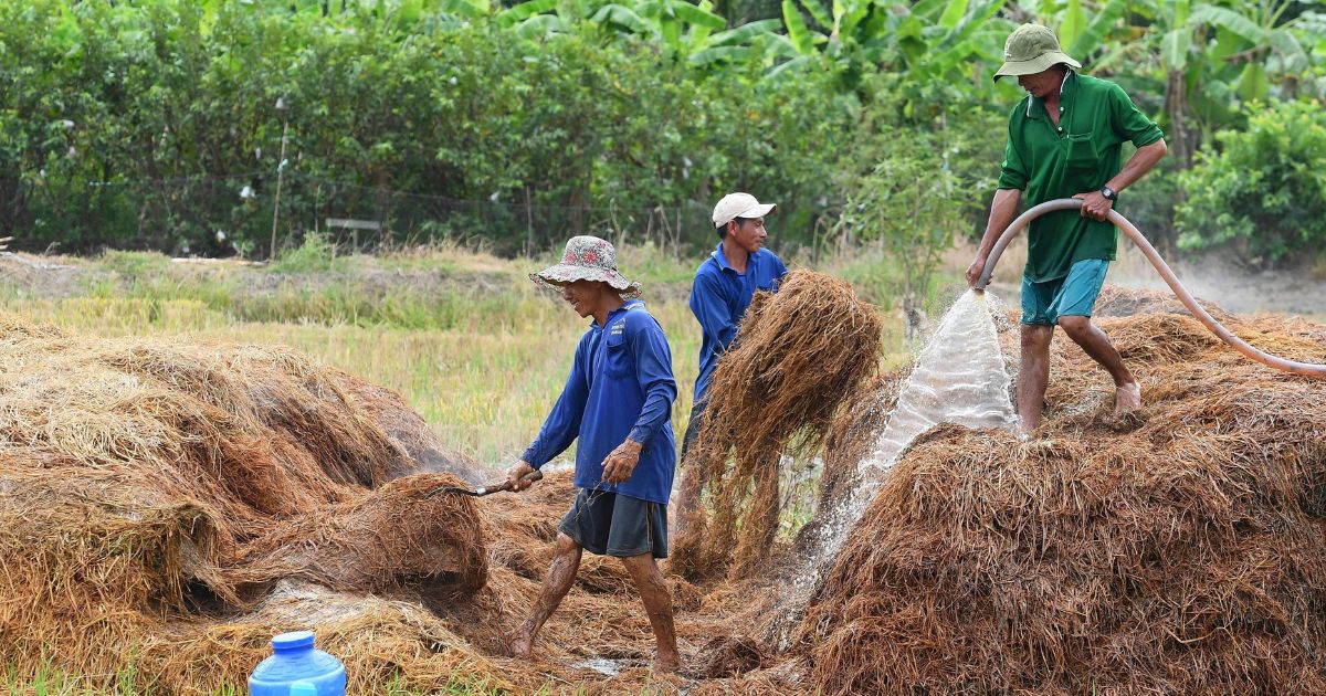 How Vietnamese farmers are using innovation to reverse the damage
