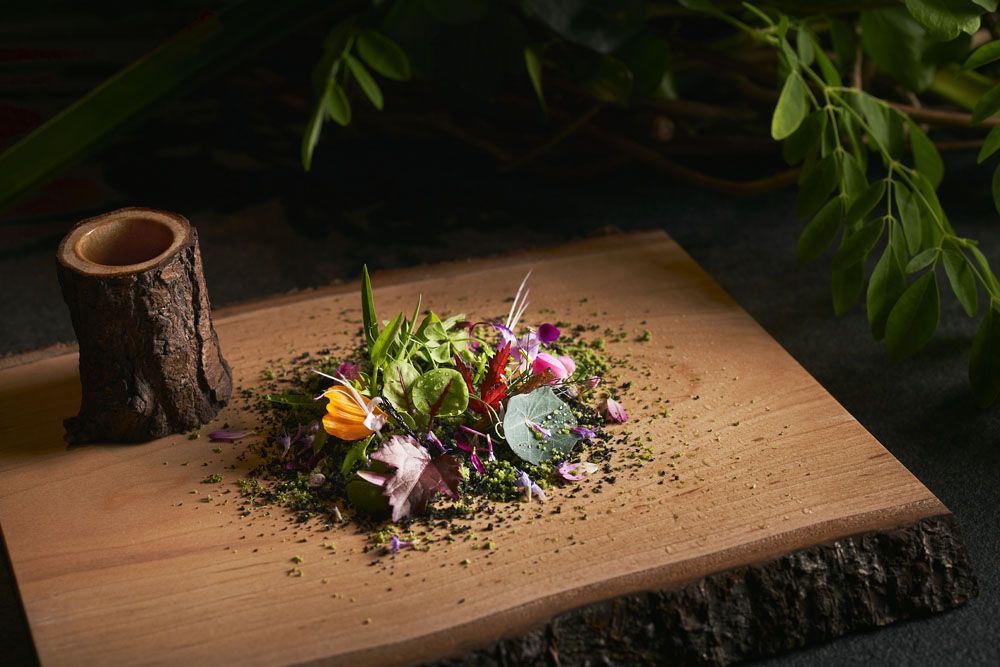 Herbs from Edible Garden