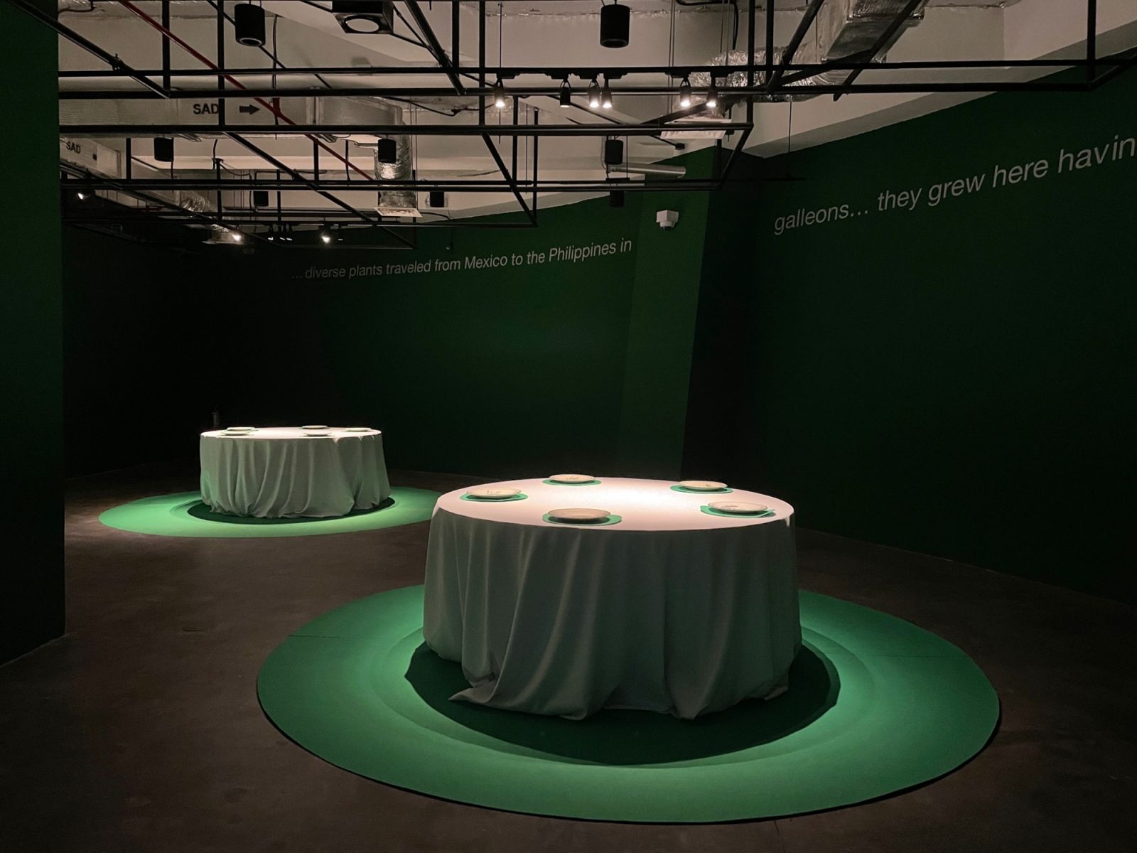 Malas Hierbas exhibition