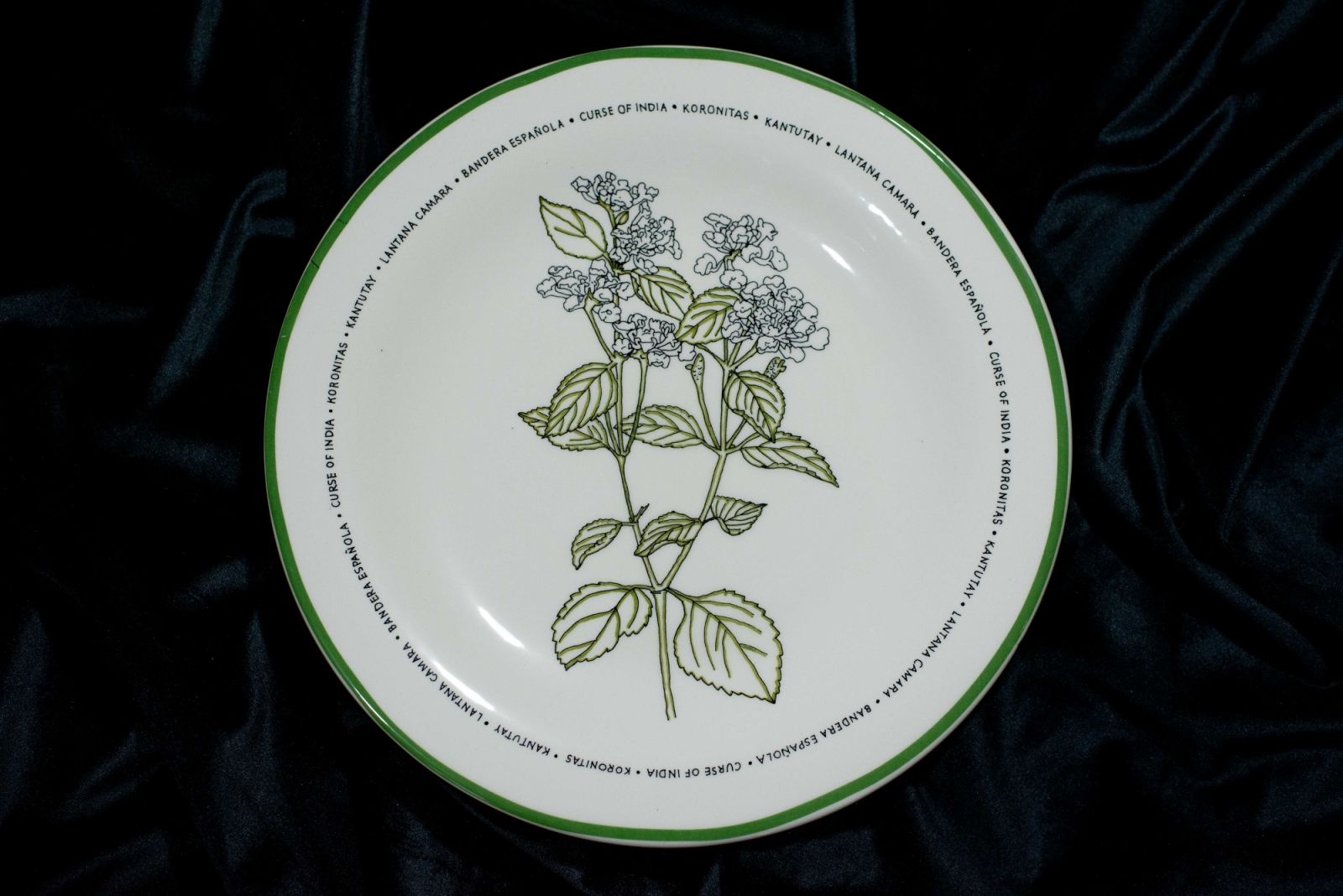Lantana Camara Plate