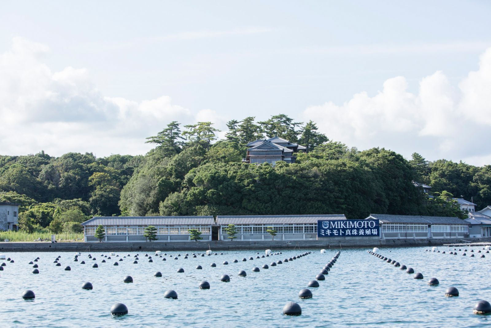 珠寶永續：Mikimoto養殖場。Photo：Mikimoto