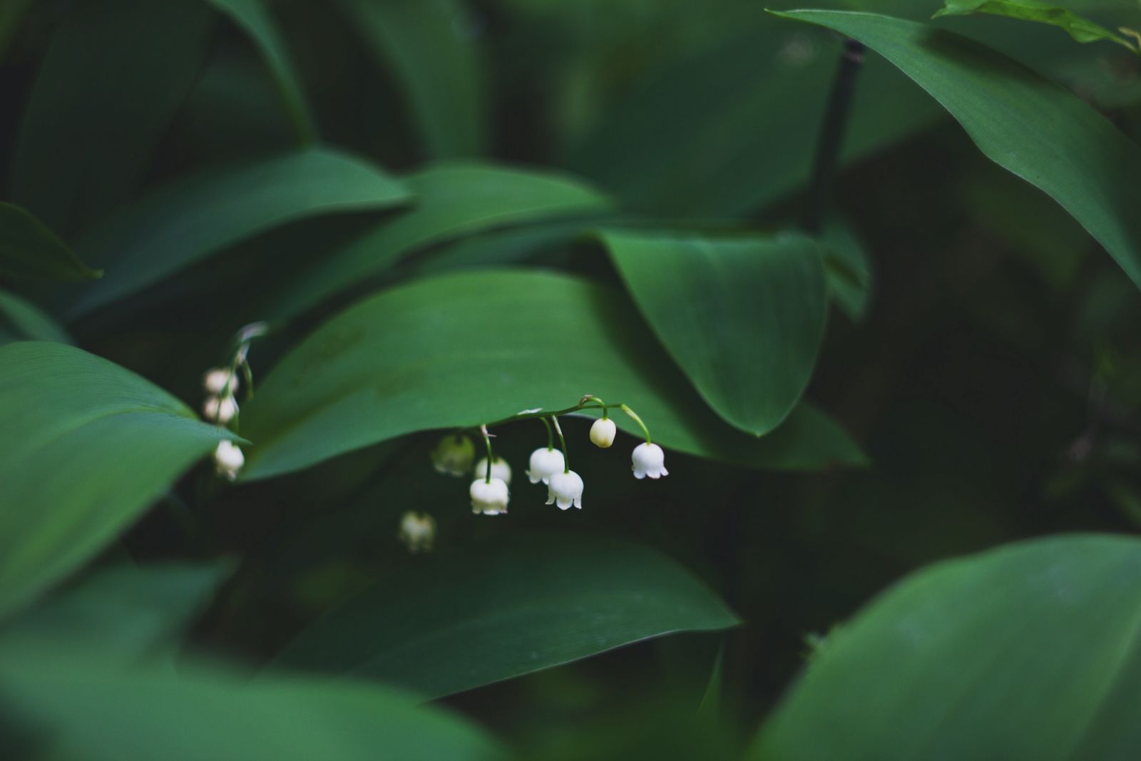 唐綺陽2023年4月星座運勢在粉專直播(Photo:Unsplash)