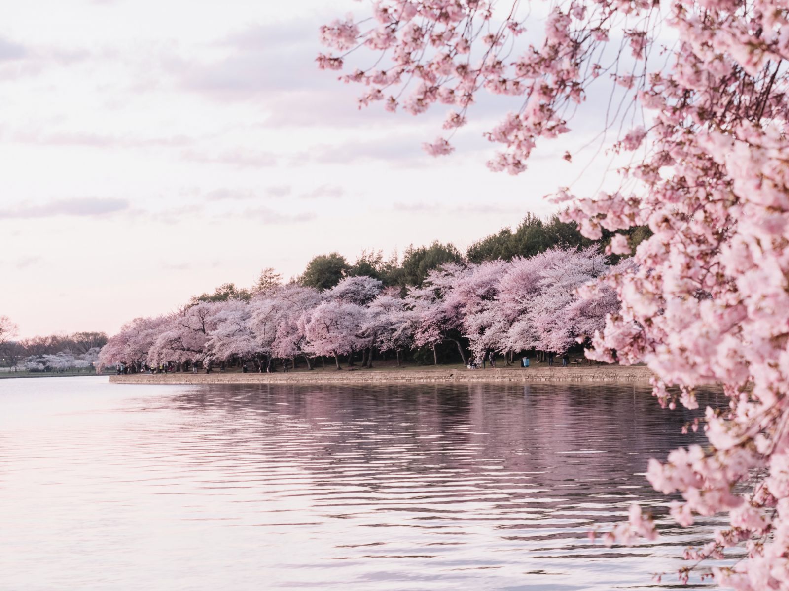 唐綺陽2023年4月十二星座運勢(Photo:Unsplash)