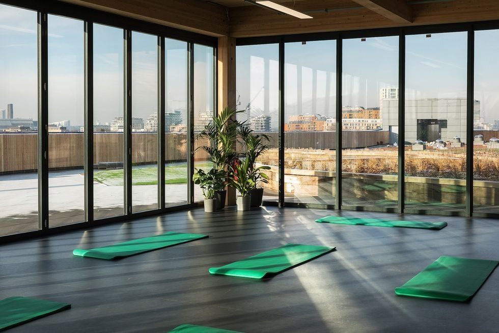Ikea Greenwich roof pavilion and garden (Photo: Ikea)