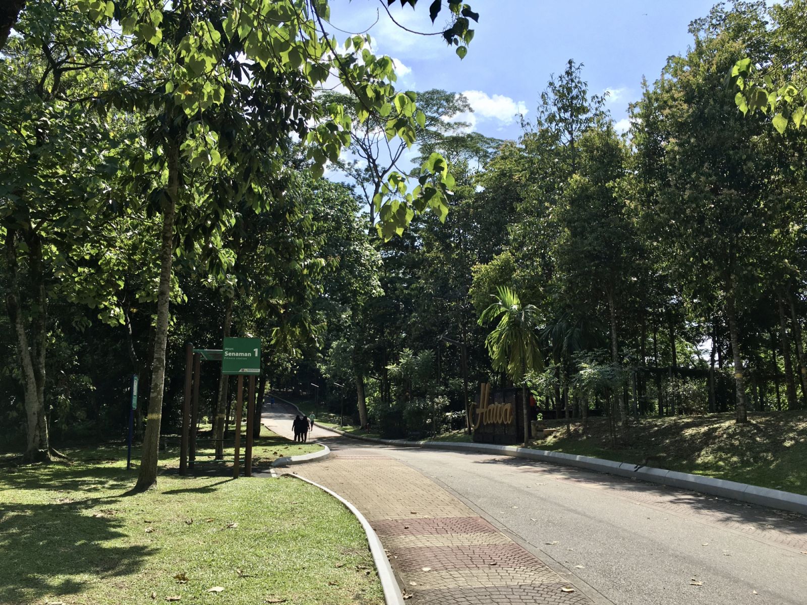Bukit Kiara park (Photo: WikiCommons/ Slleong)
