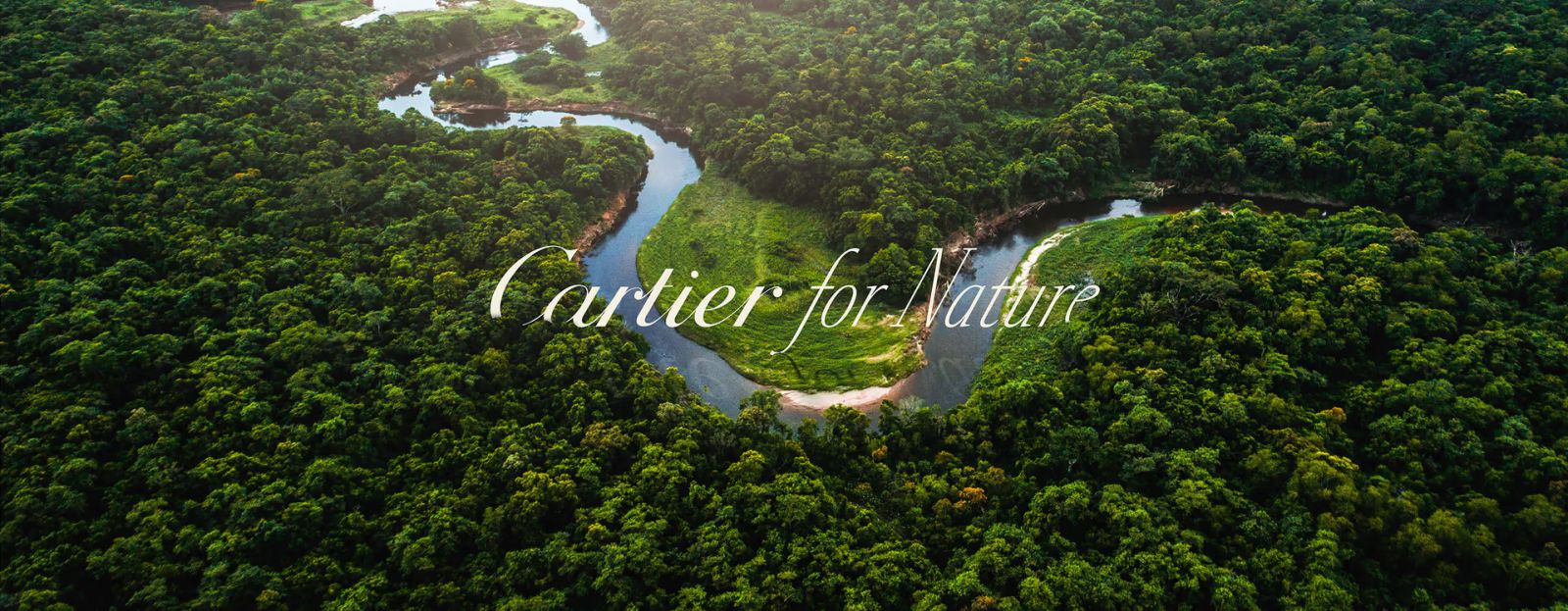 (Photo: Cartier)