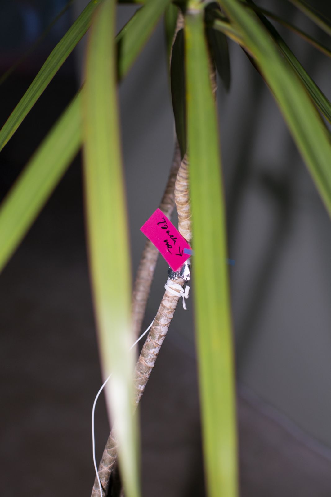 Detail view of a work from Lo's "Give No Words but Mum" at Eaton (Photo: Xin Li)
