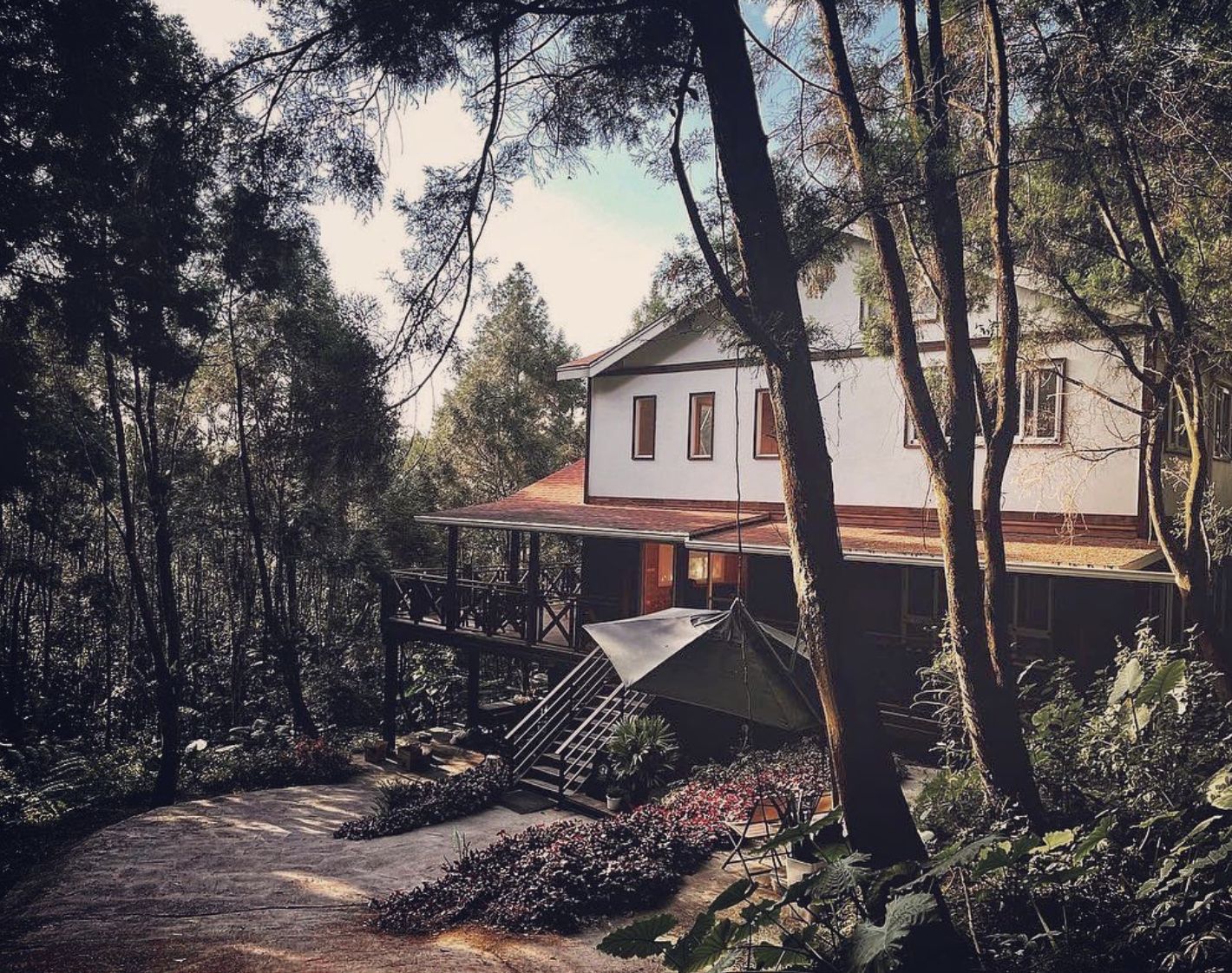 (Photo: Instagram / @best_forest_house)