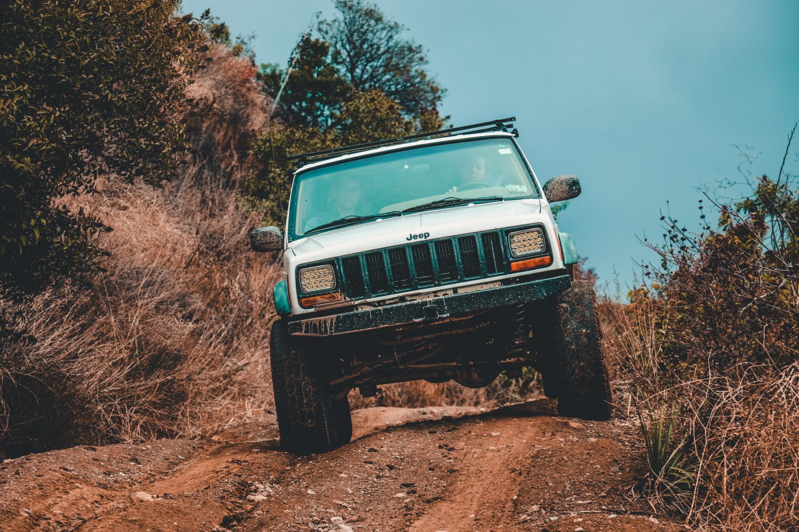 (Photo by Saeid Anvar/Pexels.com)