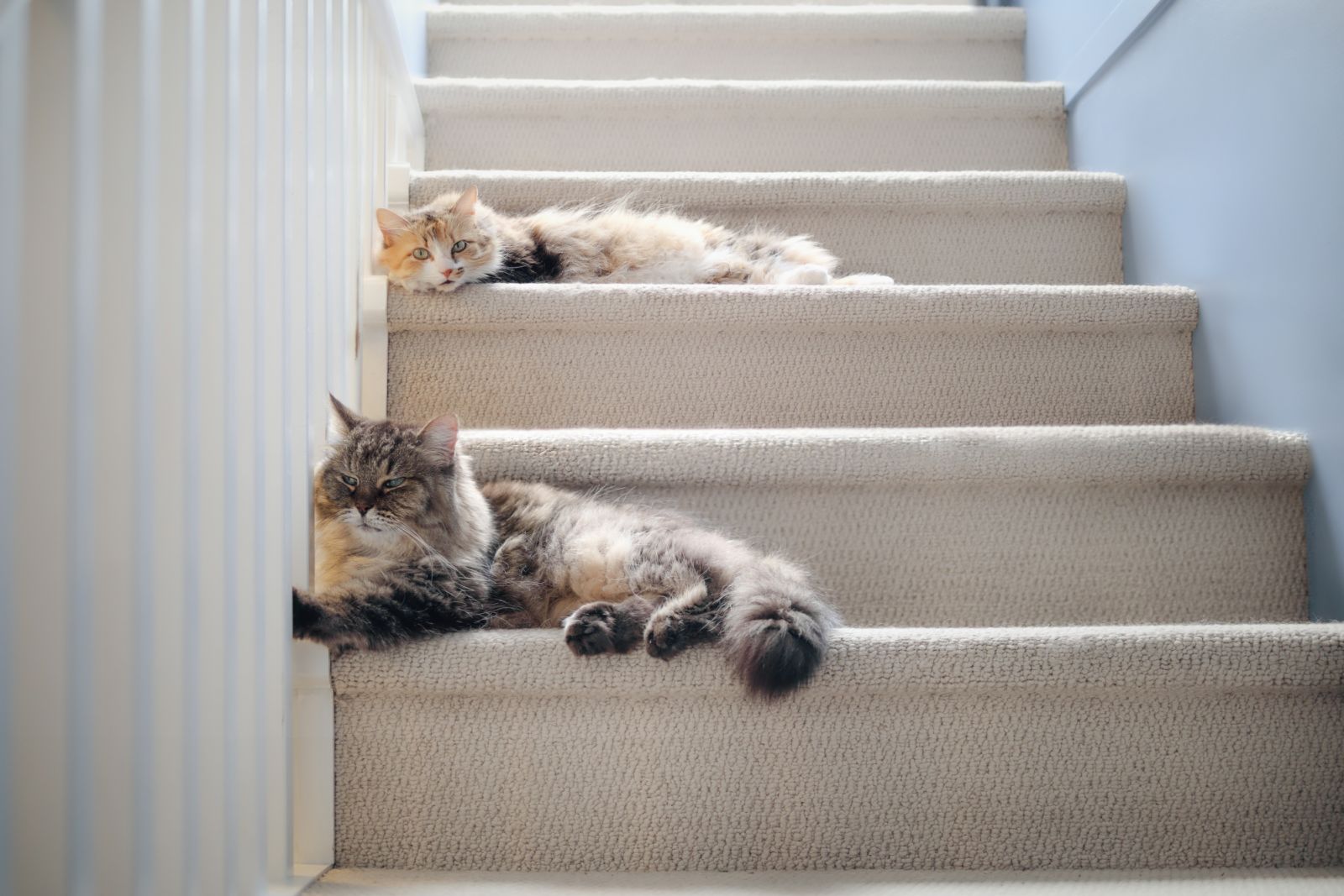 A quick update is getting rid of carpted staircases (Photo: iStock)