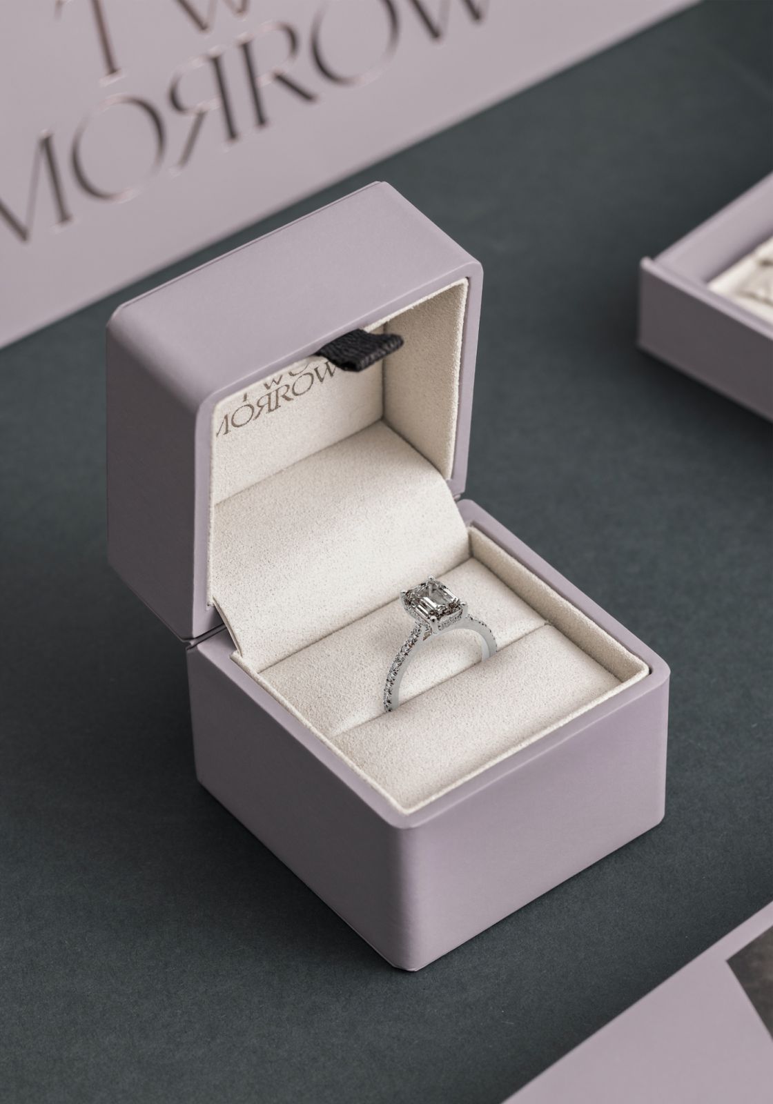 salt and pepper diamonds singapore twomorrow jewellery evelyn chung (Photo: Mike Pickles)