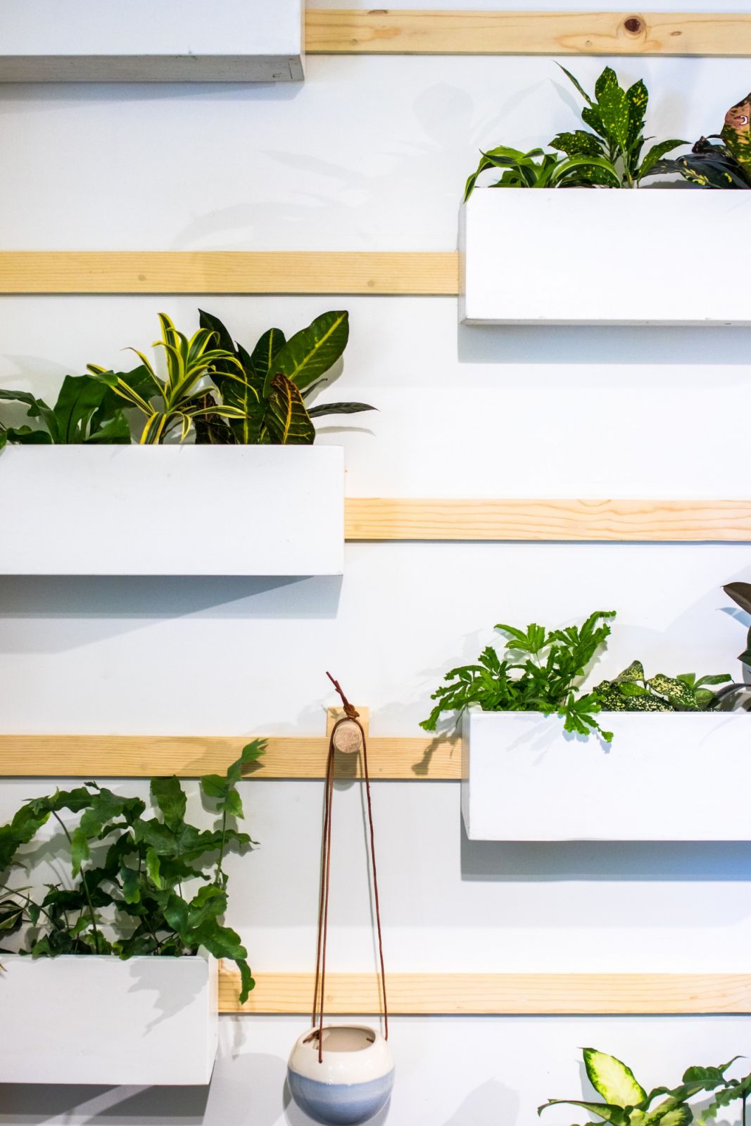 Photo by Jason Leung/Unsplash