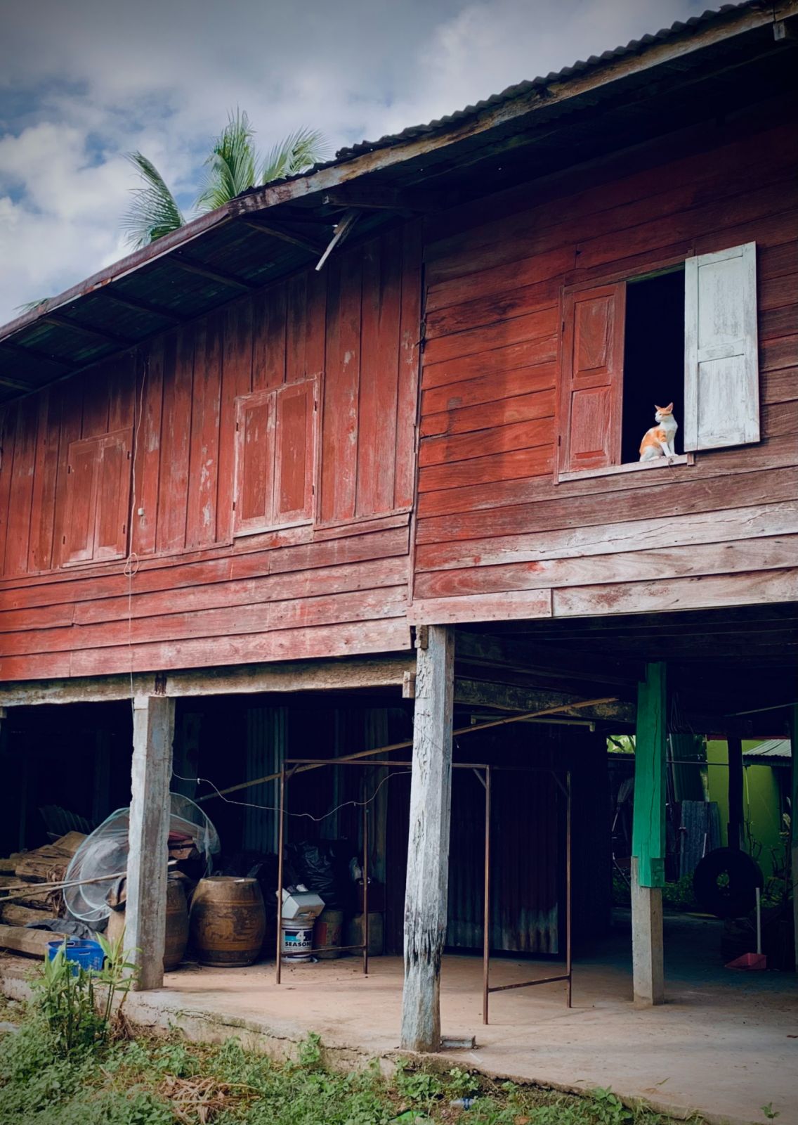 Photo by katy hardman/Unsplash