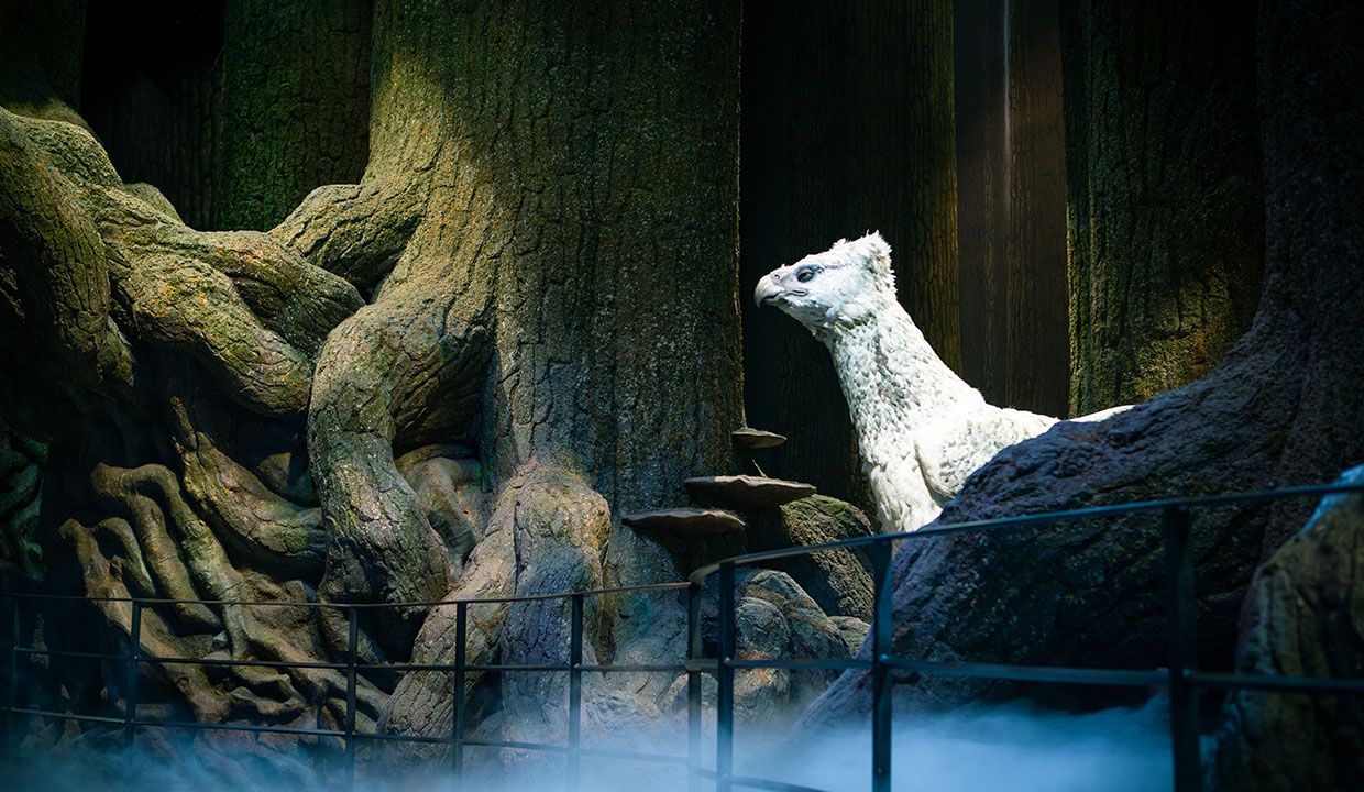 (Photo: Warner Bros. Studio Tour Tokyo)