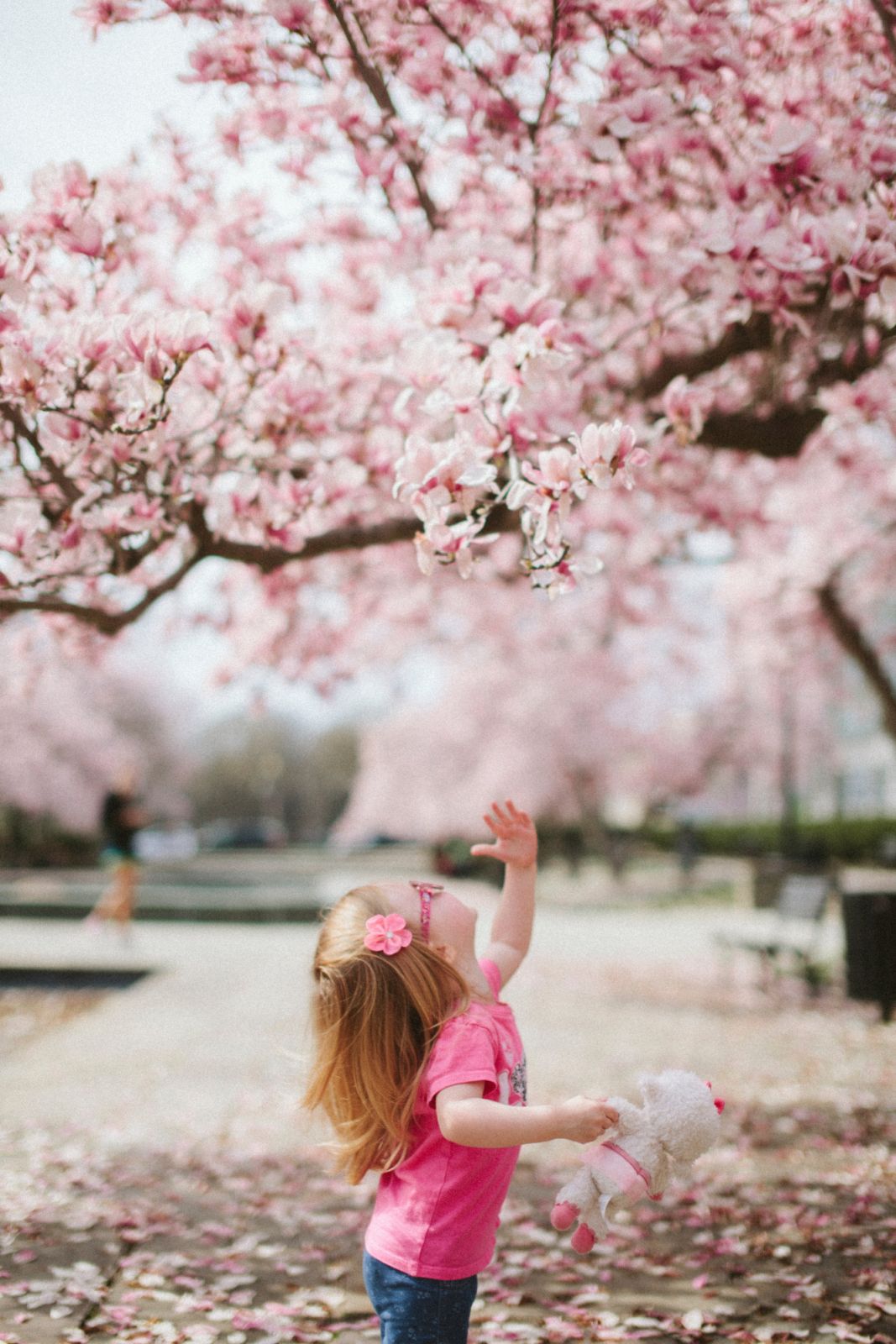 Photo:Unsplash