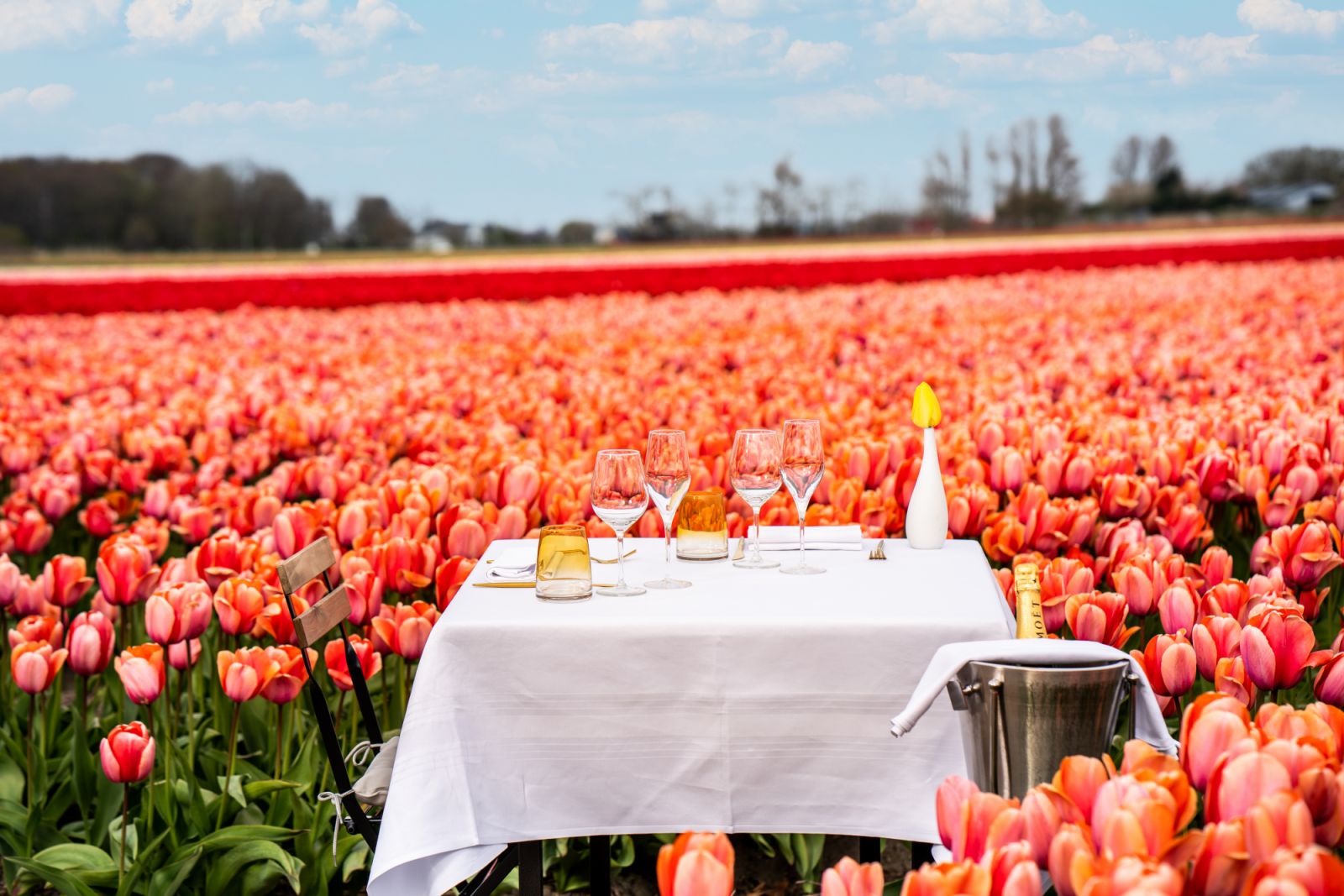 阿姆斯特丹鬱金香體驗基地 Ｔulip Experience Amsterdam。Photo：Heavens Portfolio